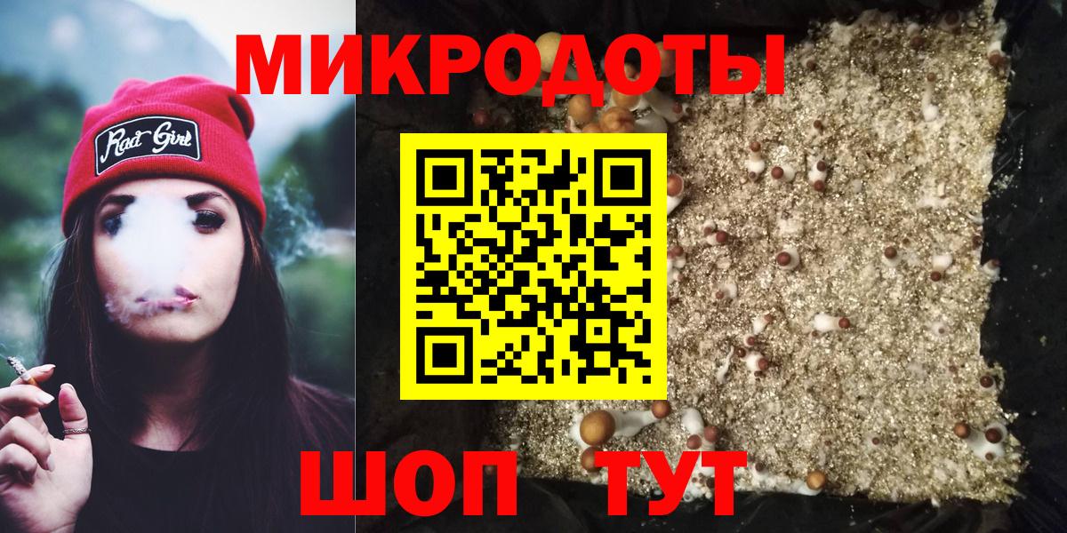 Галлюциногенные грибы Psilocybe Майкоп