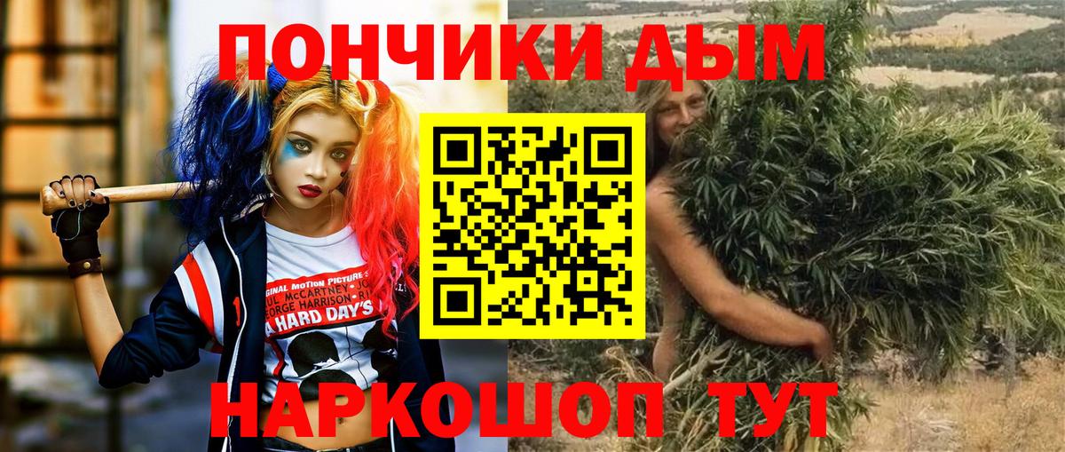 Шишки марихуана семена Майкоп